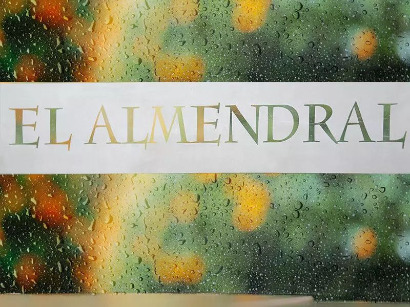 Detalle arquitectónico en vidrio de El Almendral